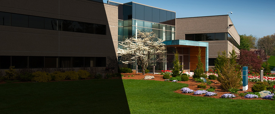 Glendive Landscapers
