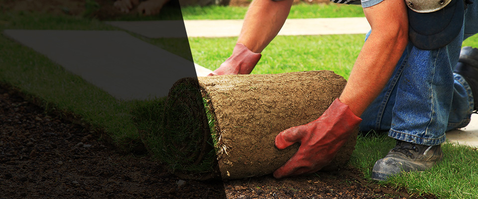 Glendive Landscapers